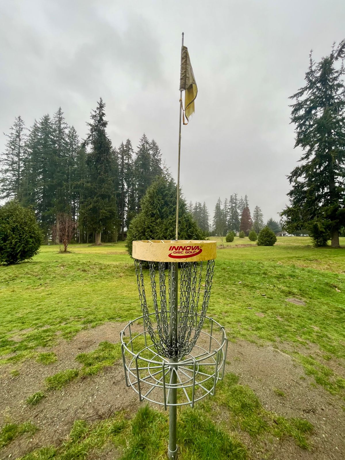 Hole 6 basket