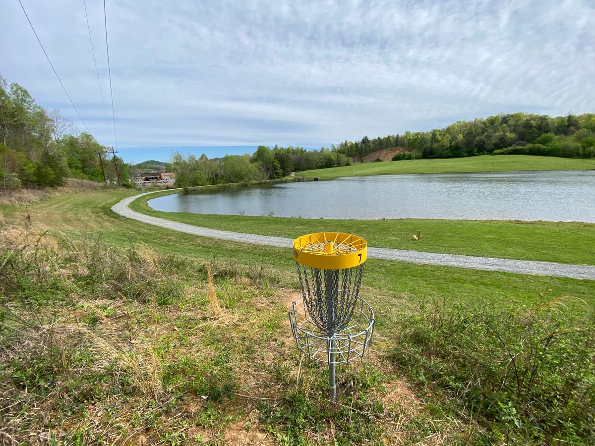 Hole 7 green. Basket on a somewhat steep slope.