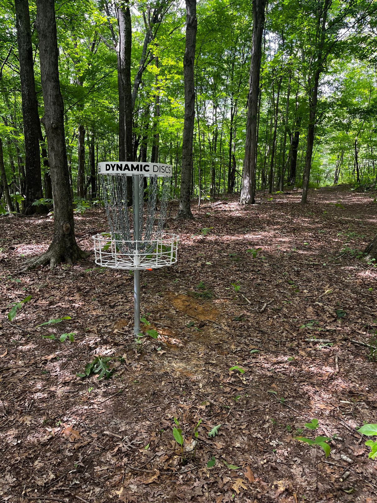 Hole 11 basket