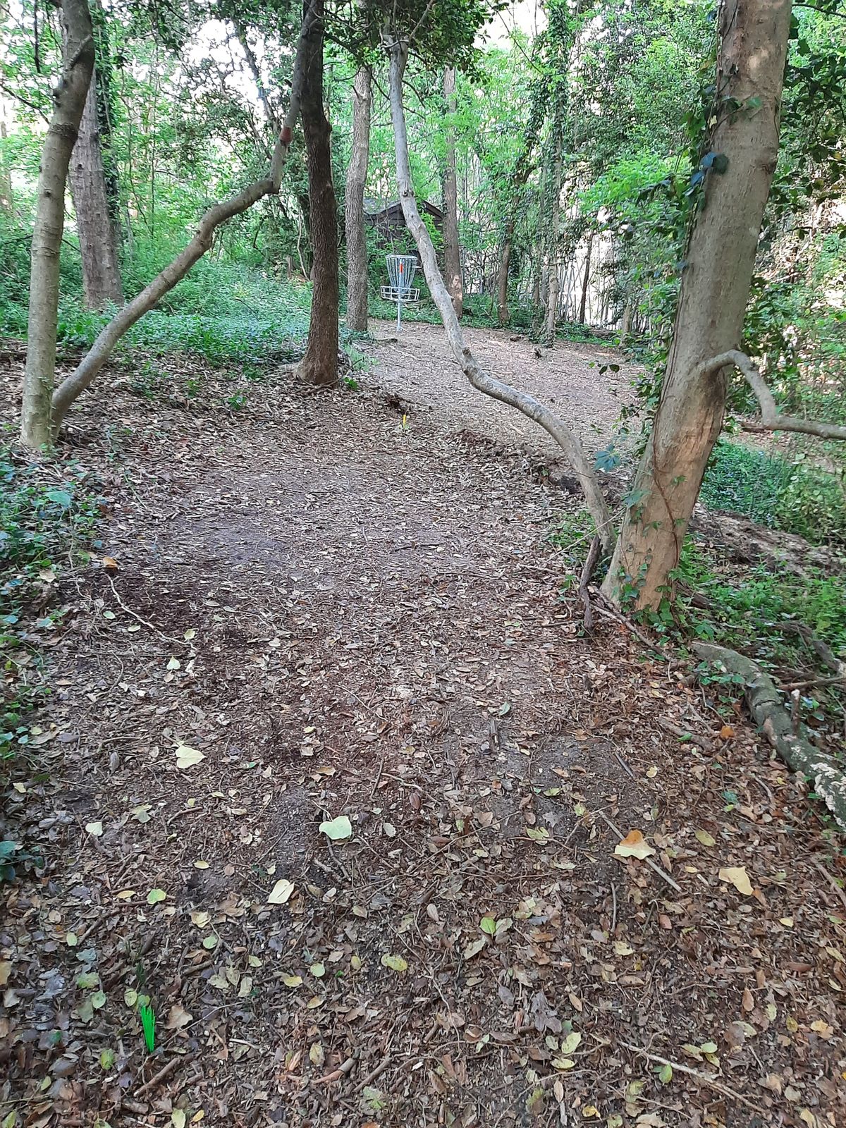 Hole 15 Red Tee