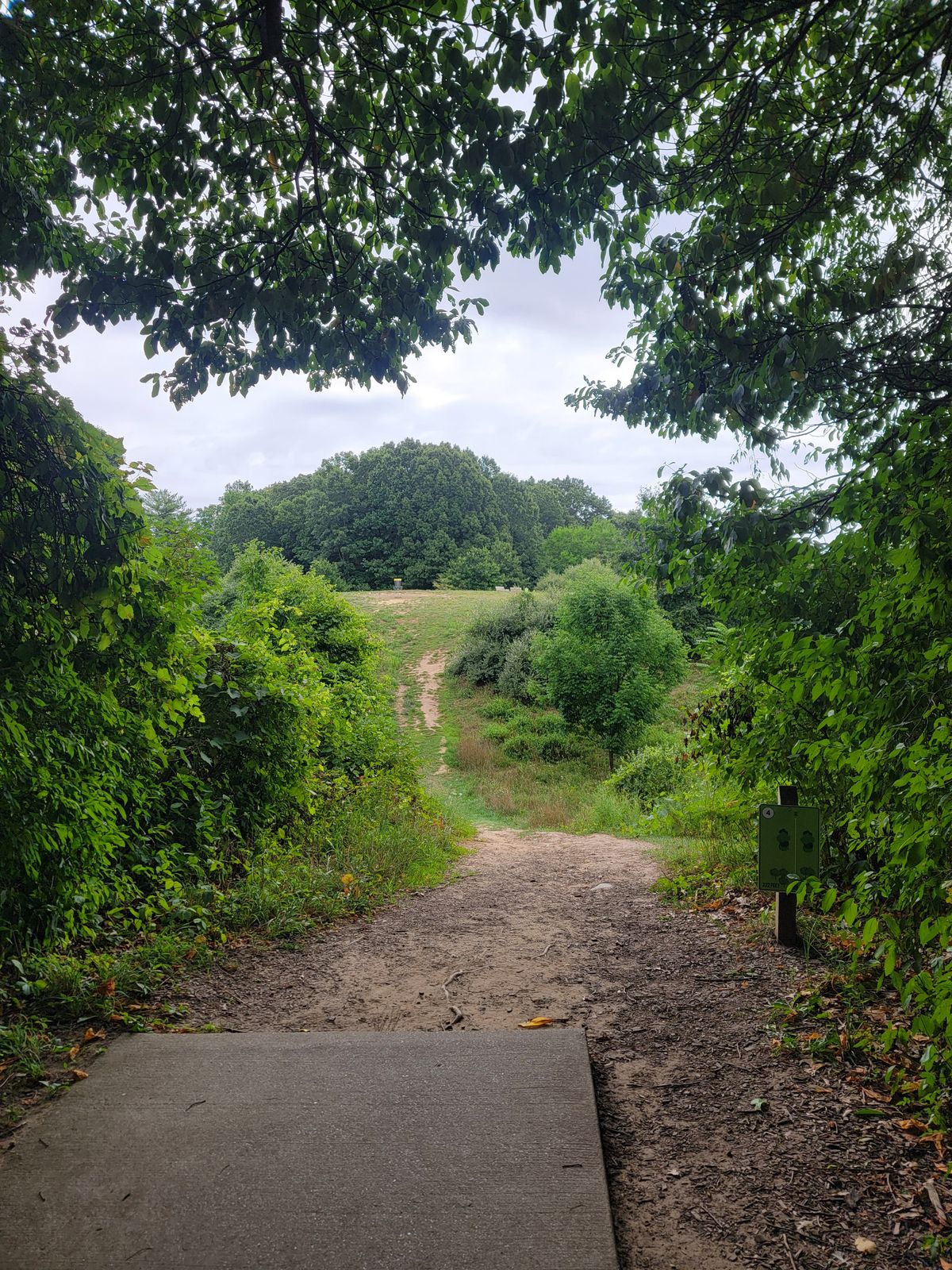 Hole #4