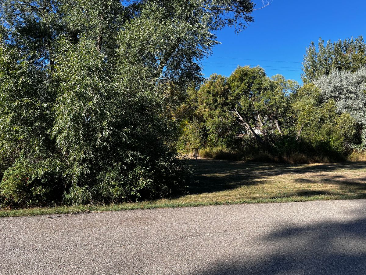 Basket Hole 6/15