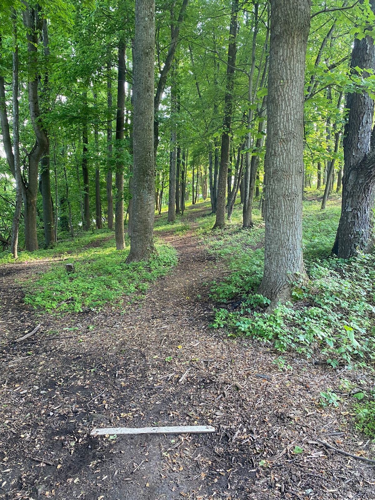 Hole 16 White tee
