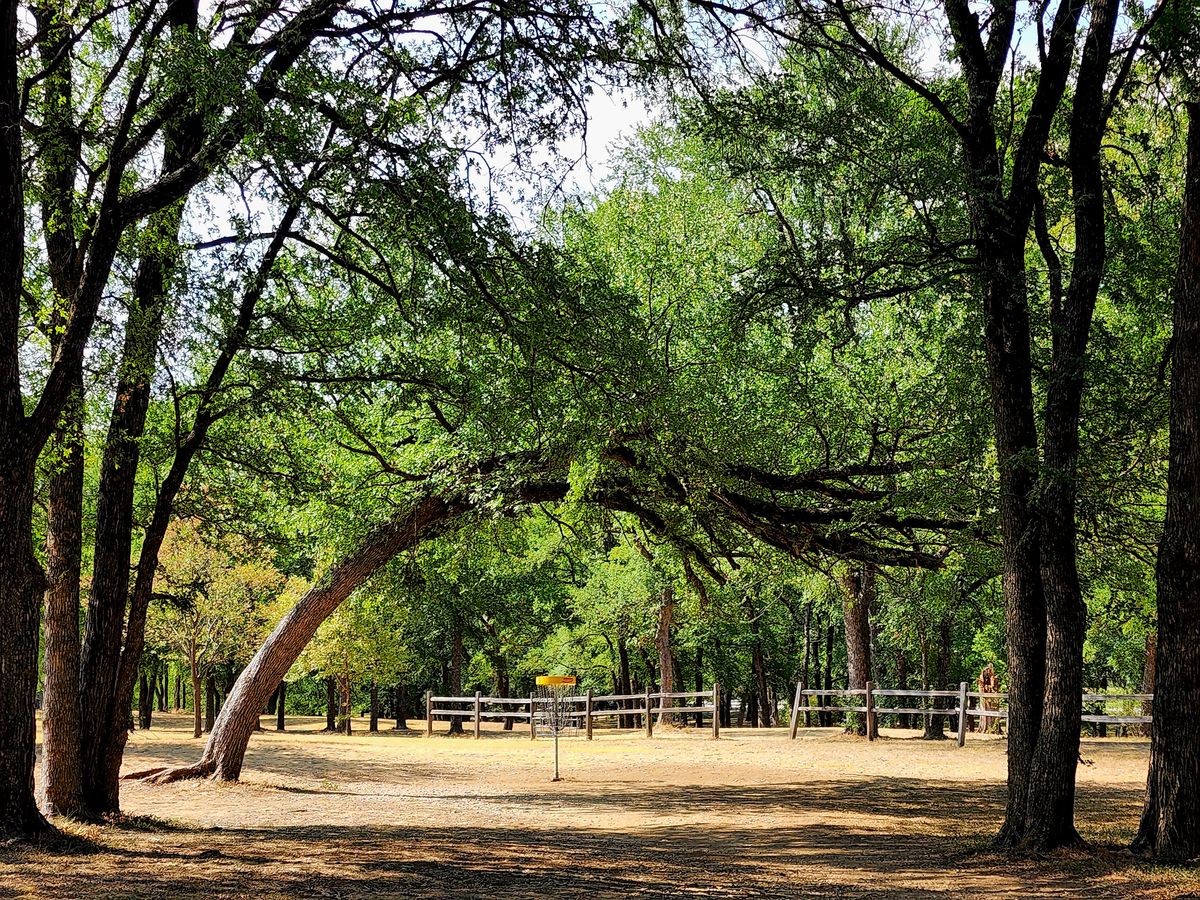 Hot Dry Day But Great in the shade