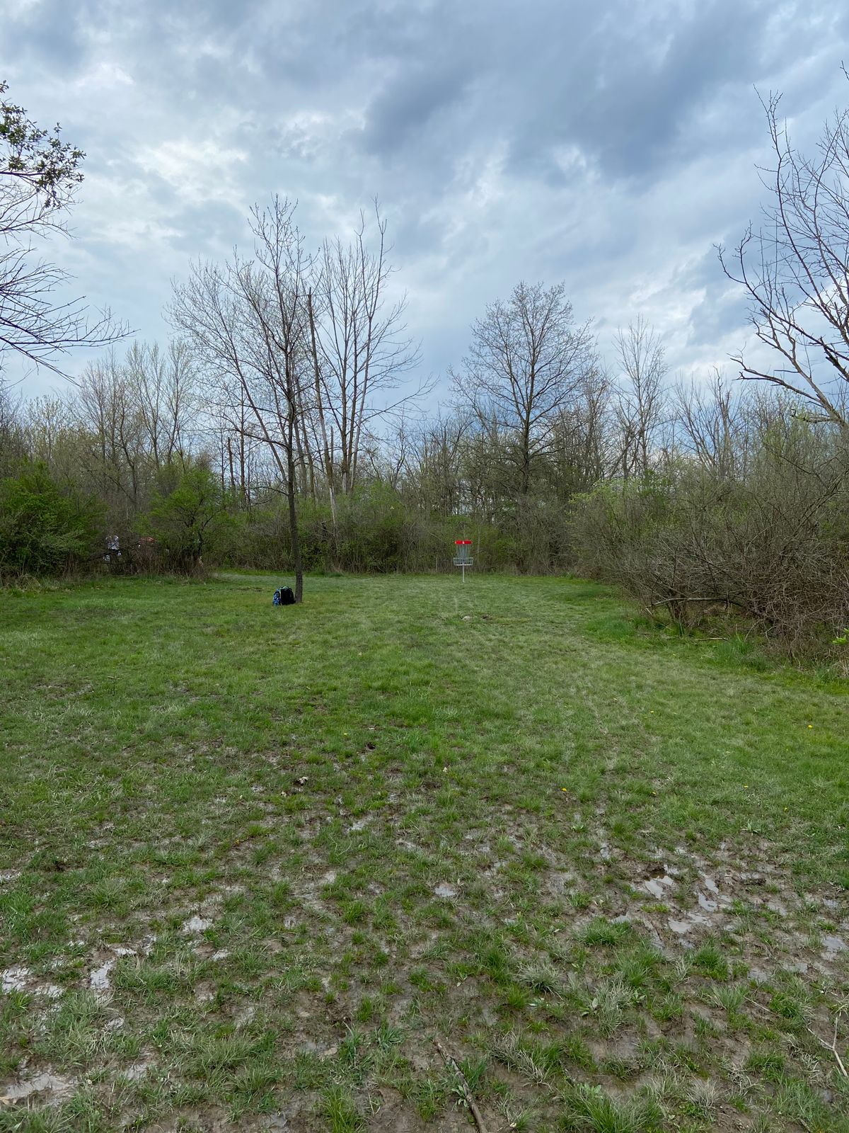 Looking at the pin of hole 5. Lots of dense thorn bushes on the right.