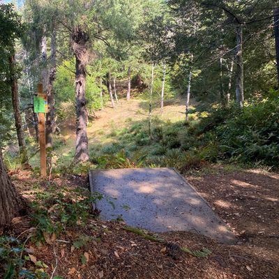 Hole 5