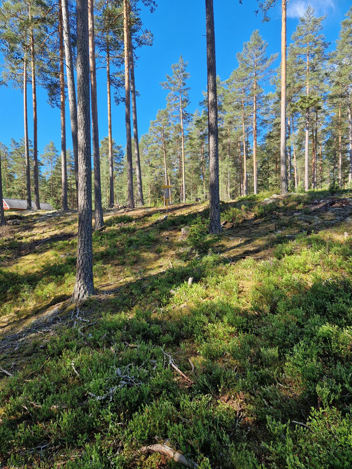 Hål 2
