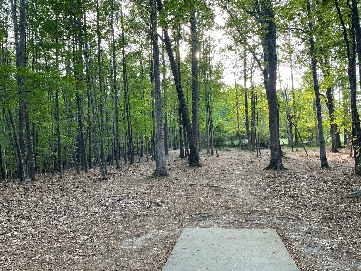 hole 11 shorts