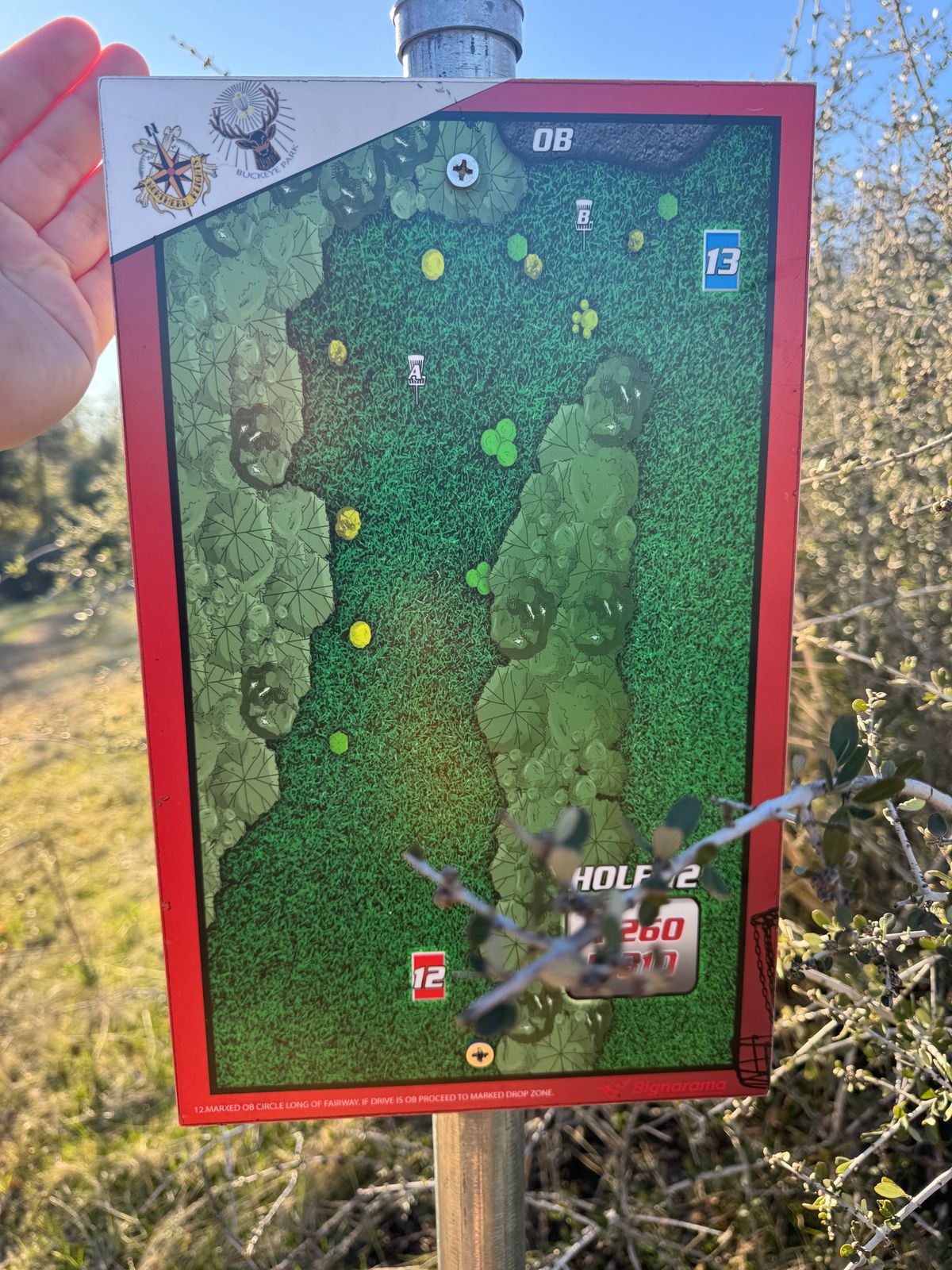 Hole 12 Tee Sign