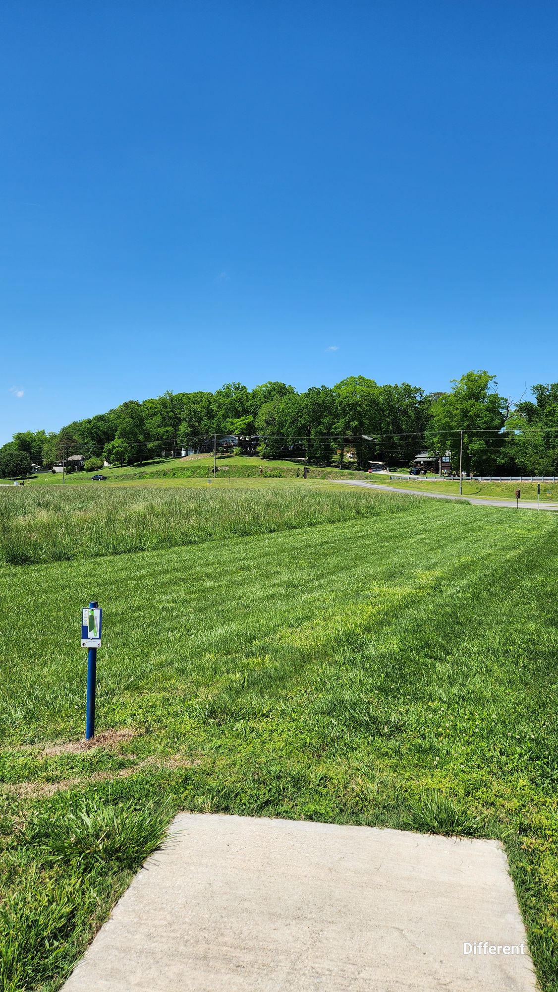 Hole 7, the field likes to eat discs when it is tall!