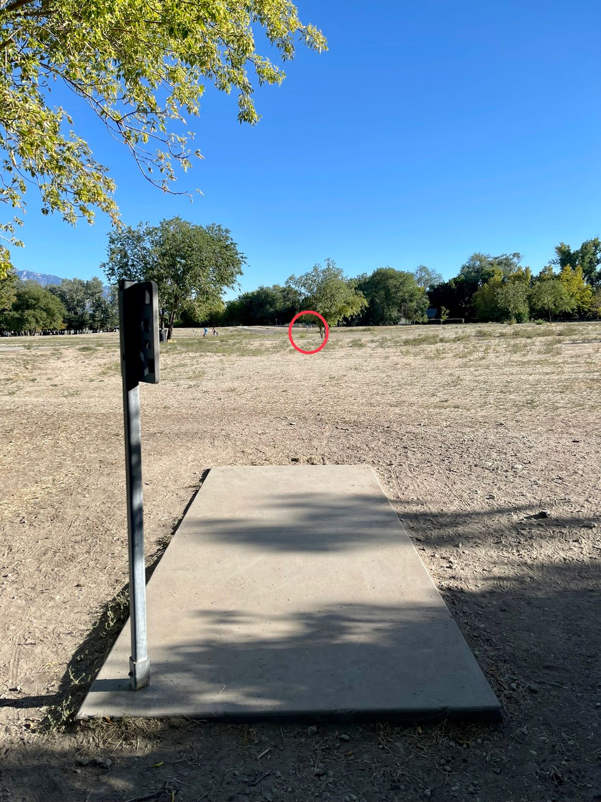 Hole 15 Long Basket (Main Tee)