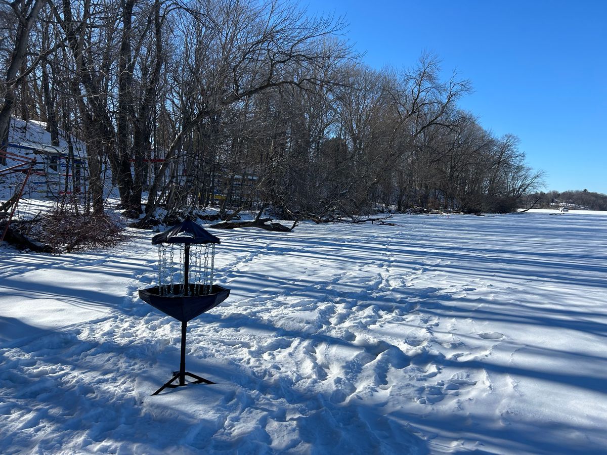 Hole 8 basket