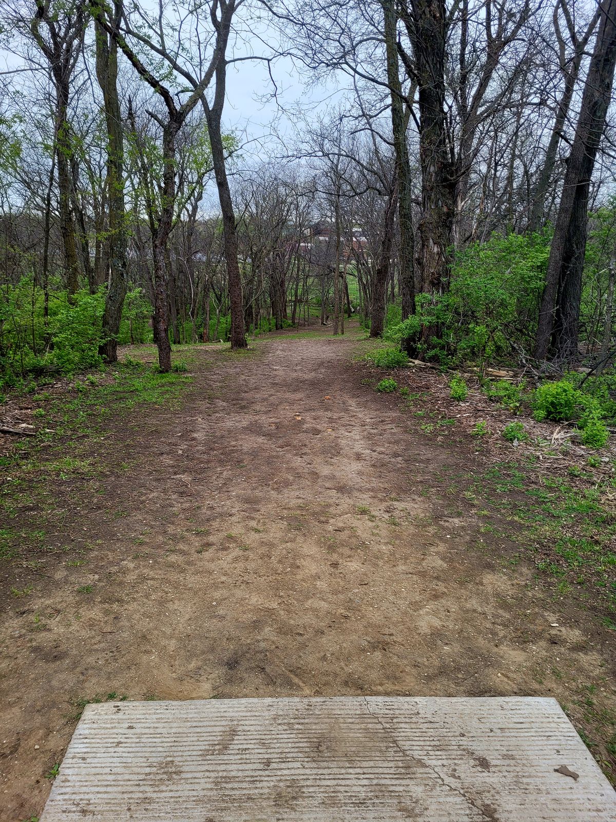 Hole 5 Long Tee