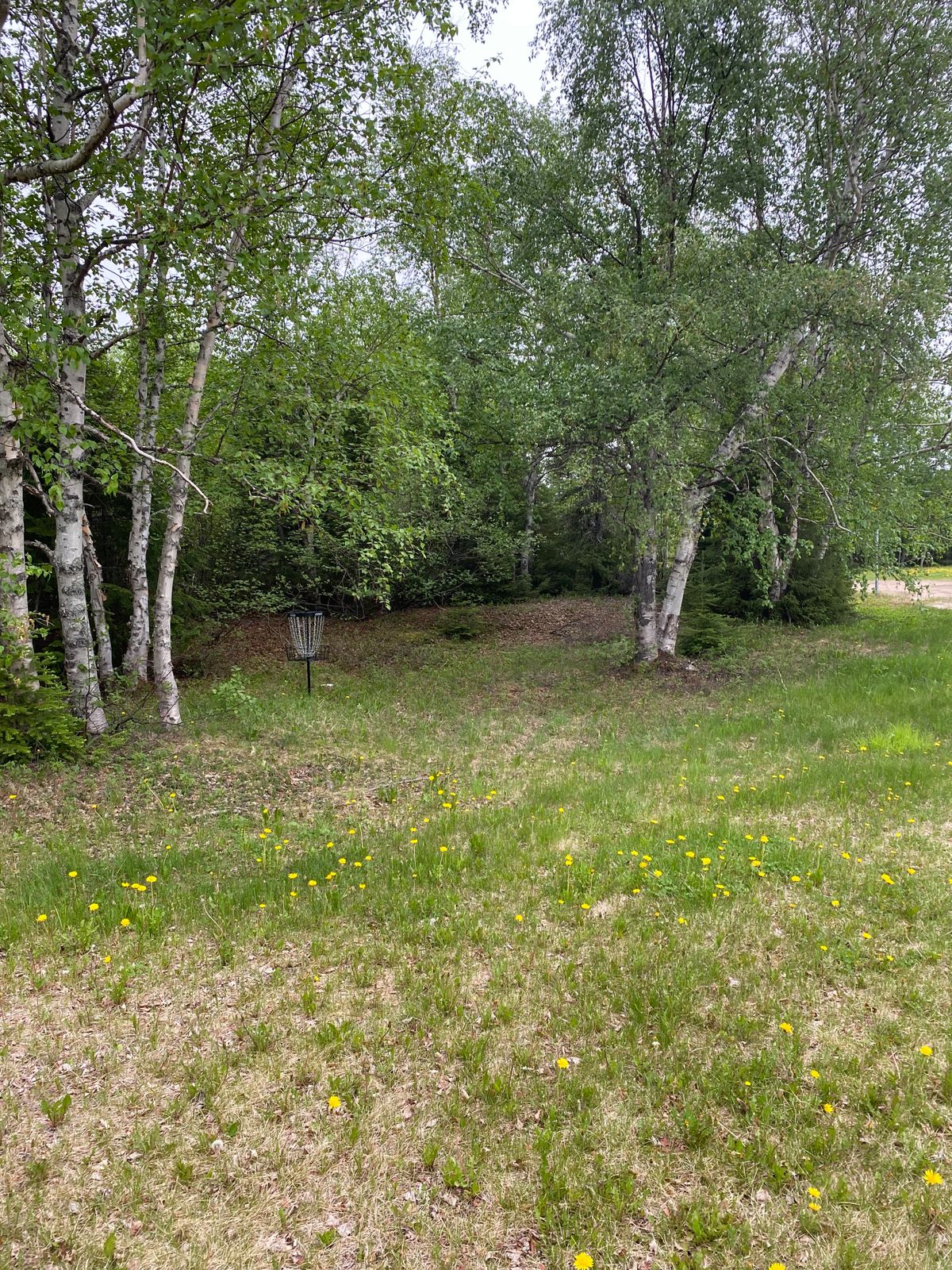 Hole 4 basket