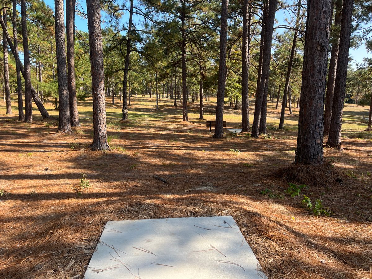 Hole 10 tee