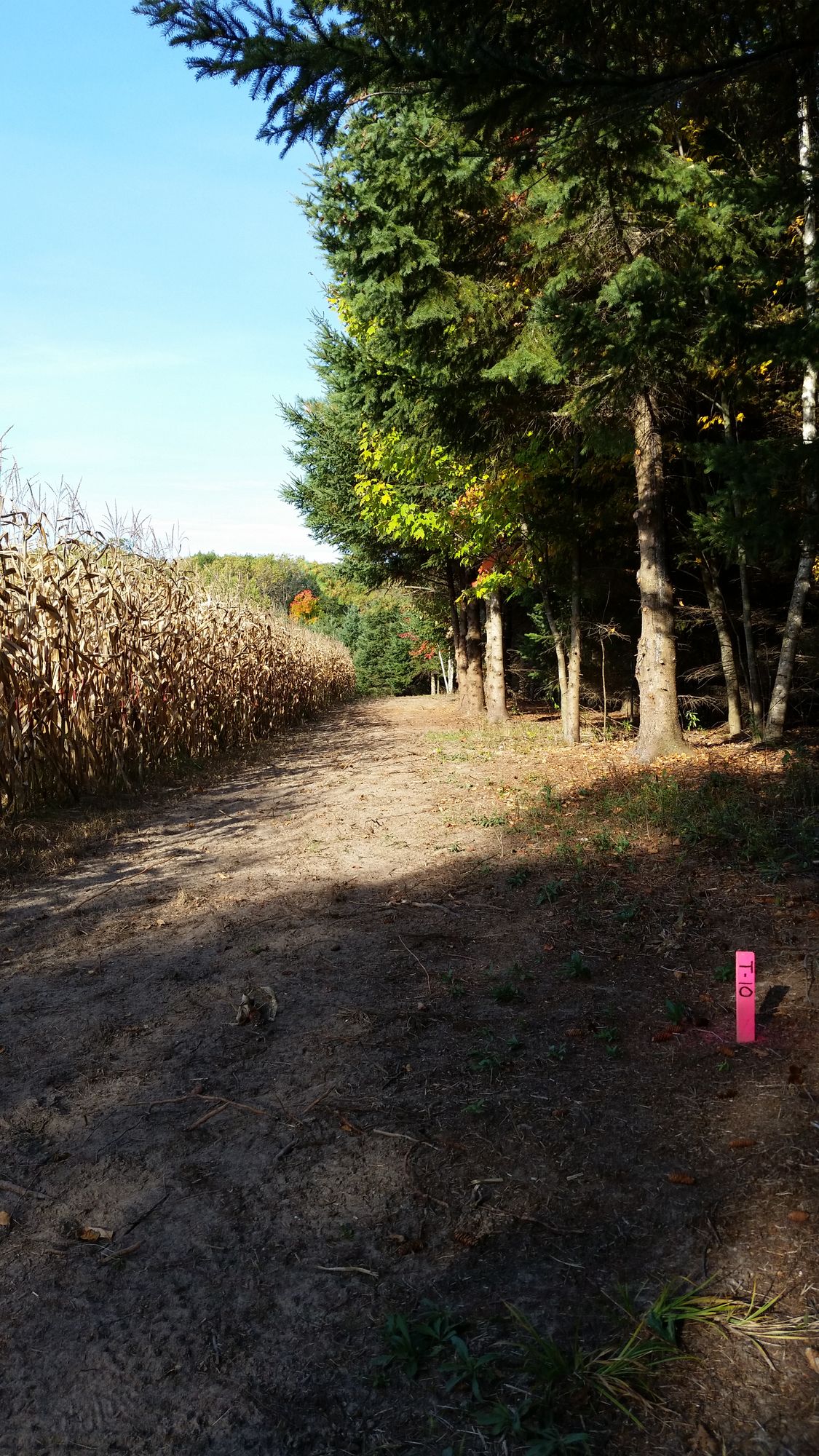 Hole 10