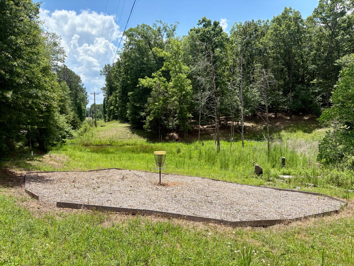 Hole 17 Basket To Tee