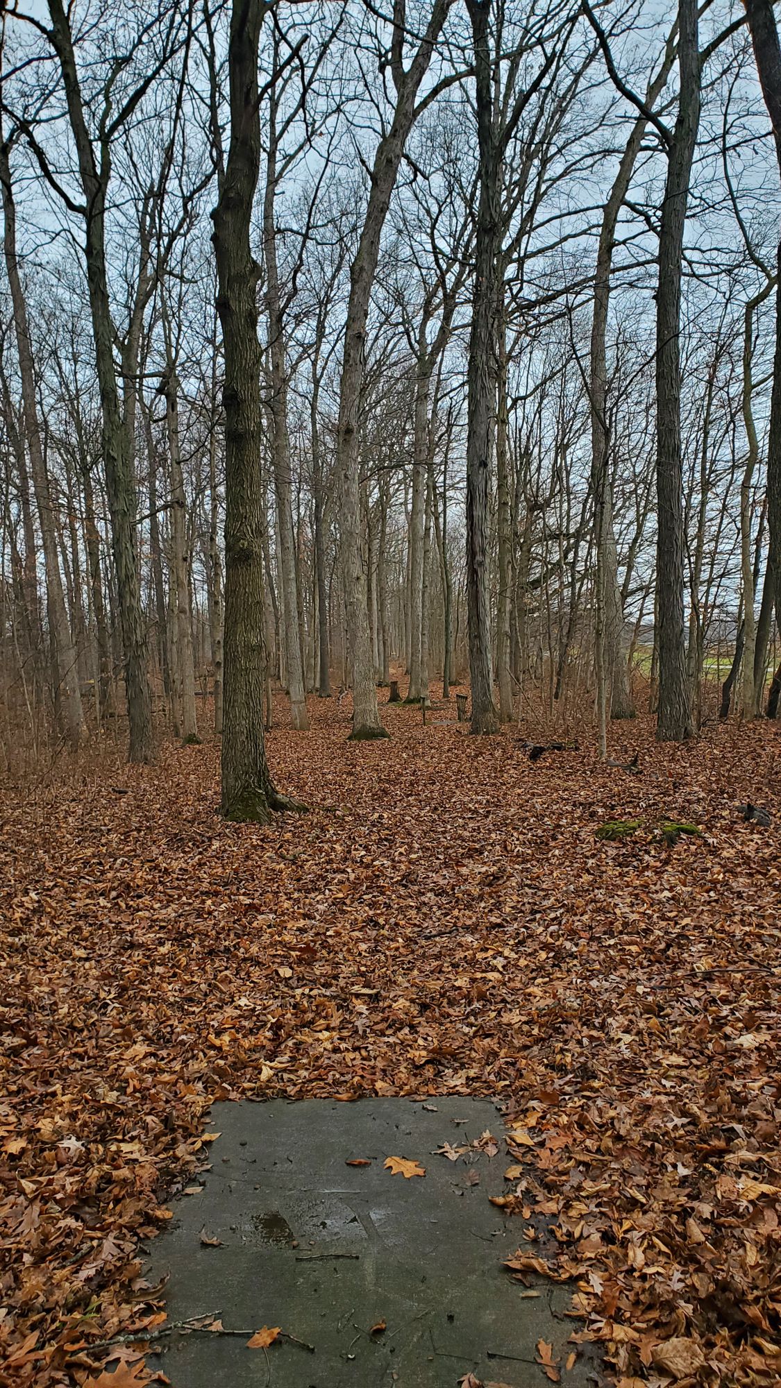 Hole 4 tee