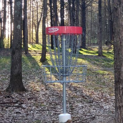 Hole 5 looking back.