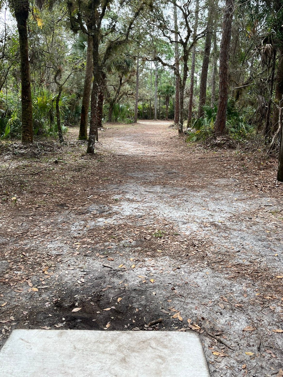 Hole 16