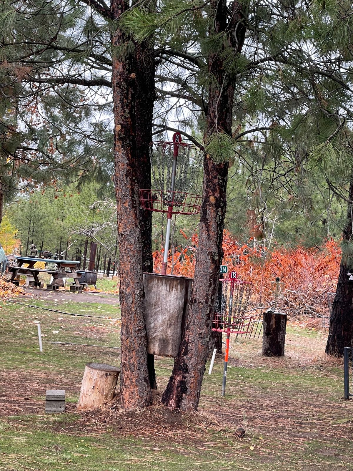 Hole 9 and 18 baskets