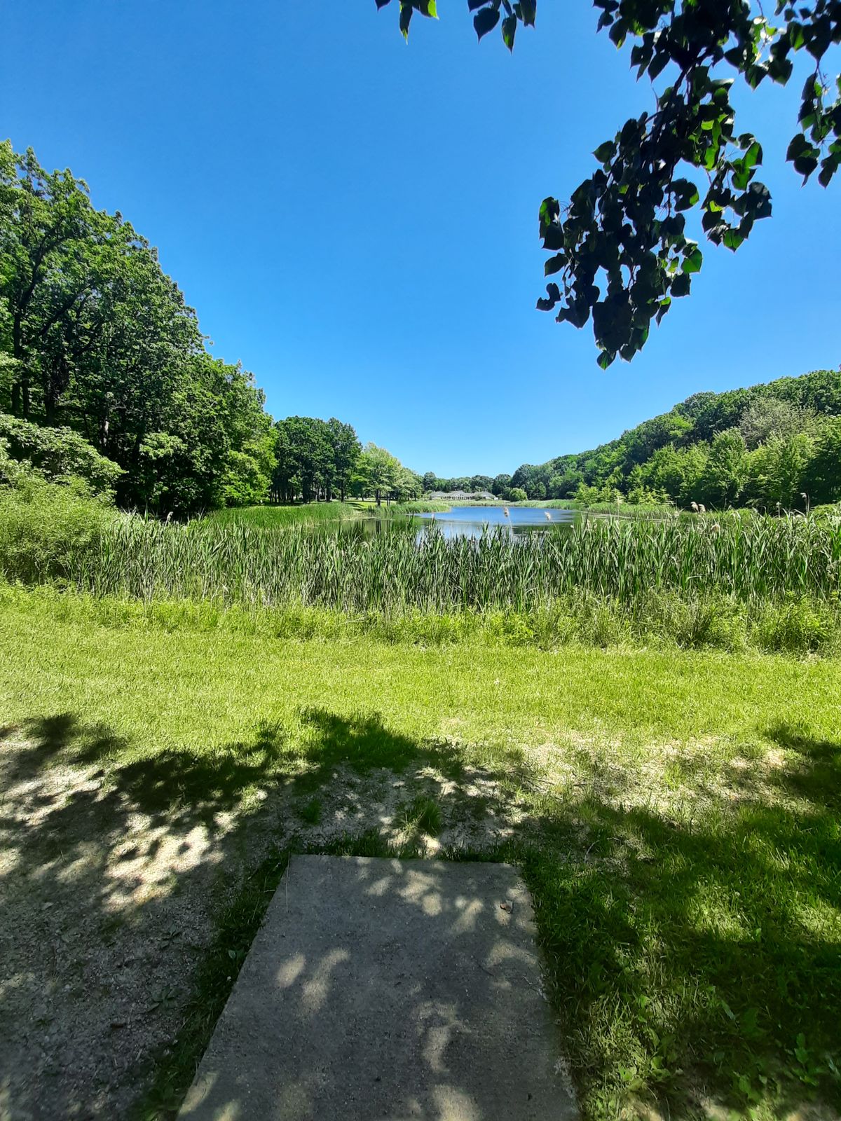 Hole 2 tee
