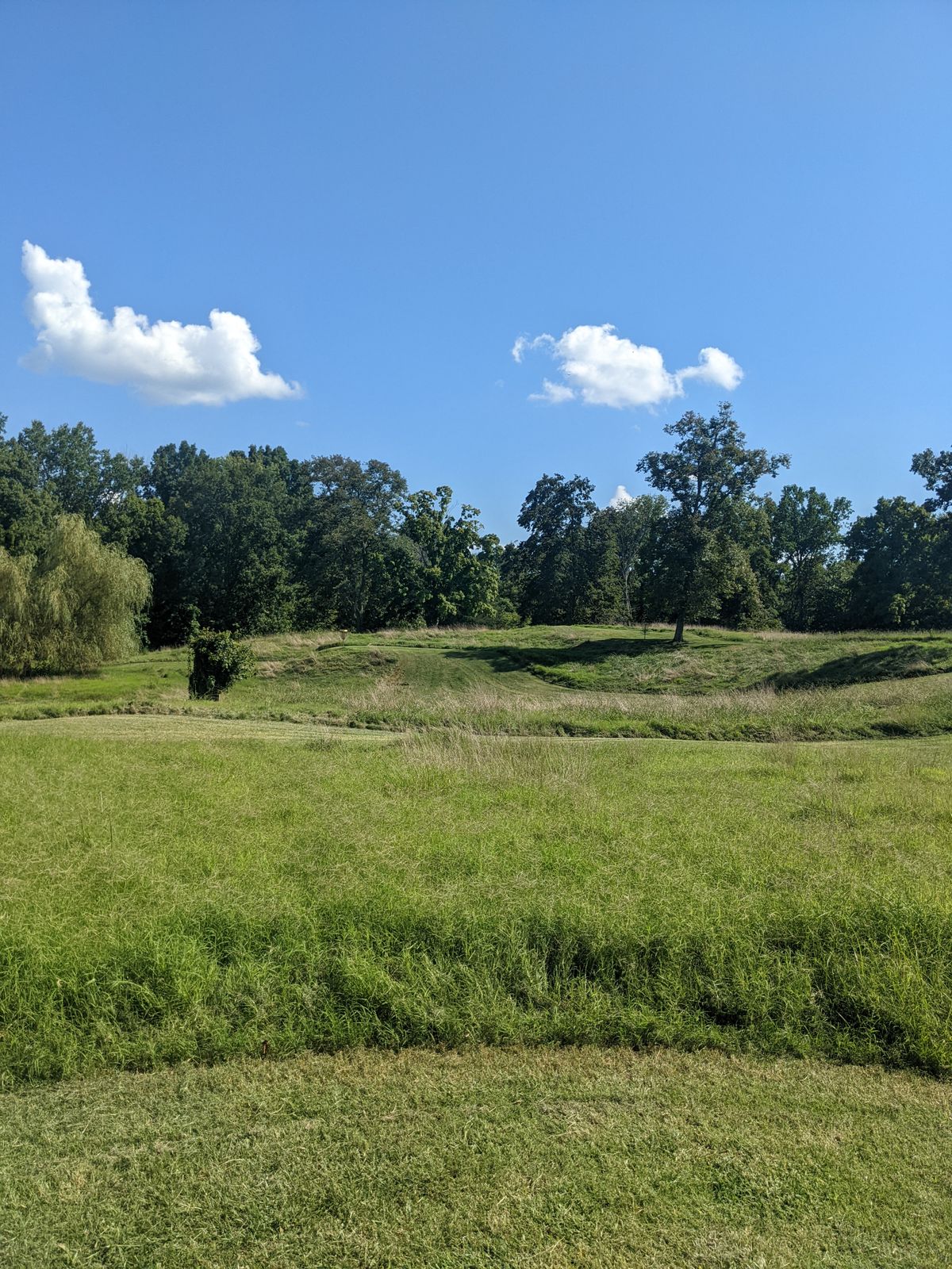 Extremely narrow fairways with one high tall grass. Almost impossible to find your disc if you don't land in the fairway.