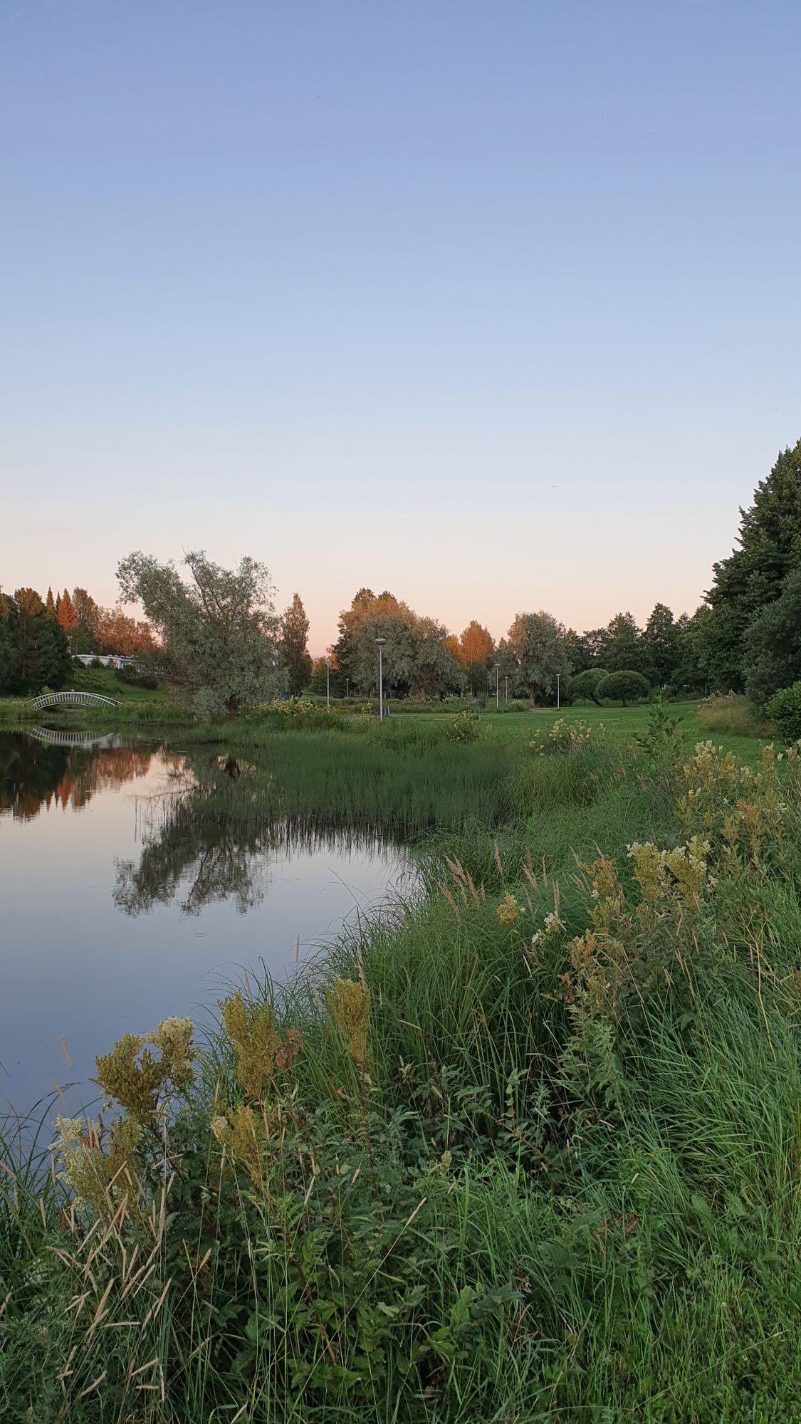 Hieno puistomiöjöö