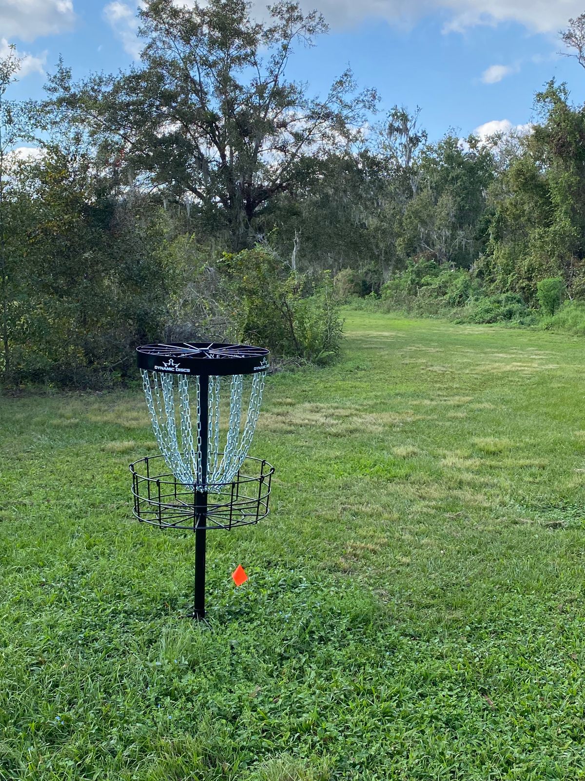 Hole 8 looking toward tee pad.