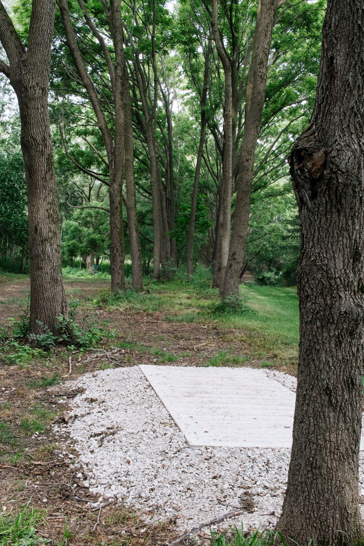 Hole 2