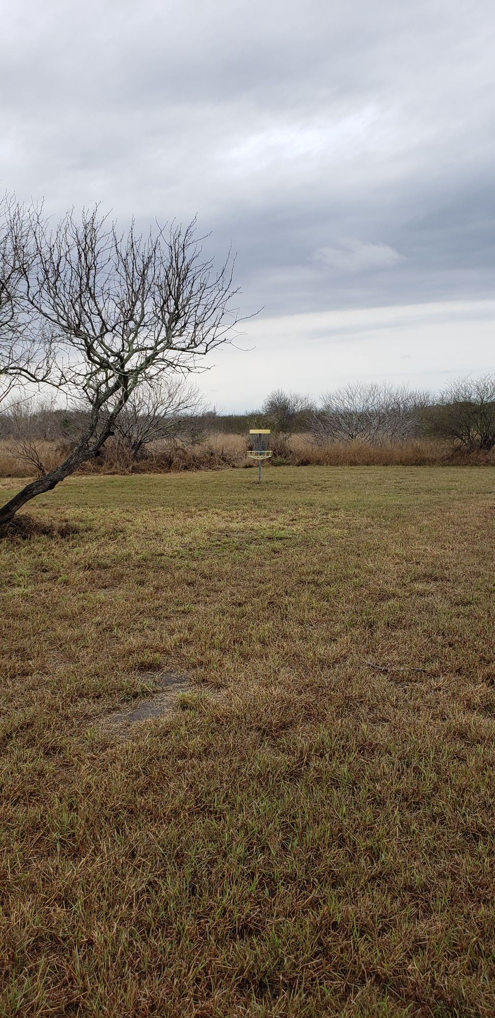 Hole 6 basket