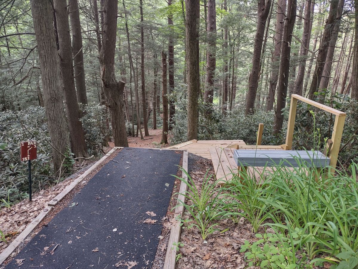 #1 tee.  Downhill. Overthrow puts you in 12 foot hole or worse