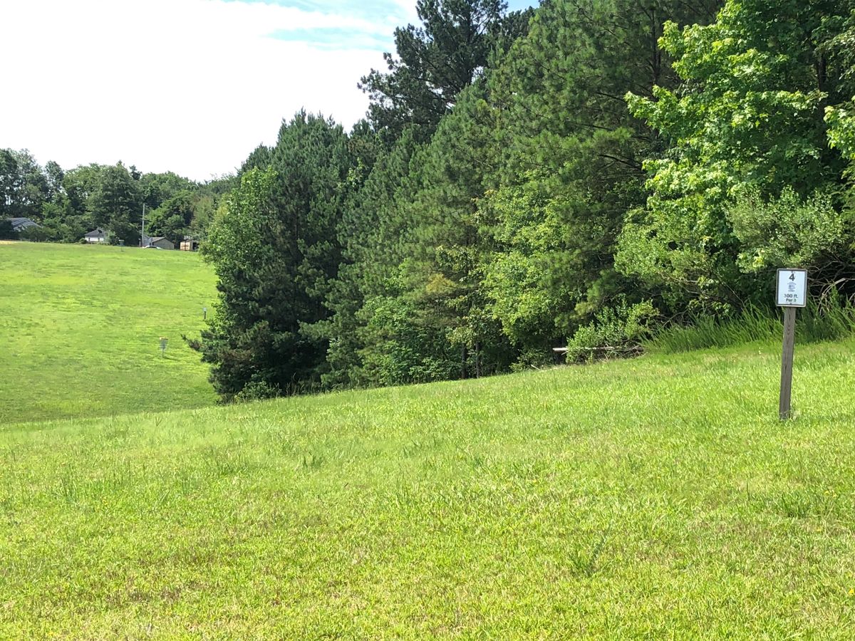 Hole #4 tee