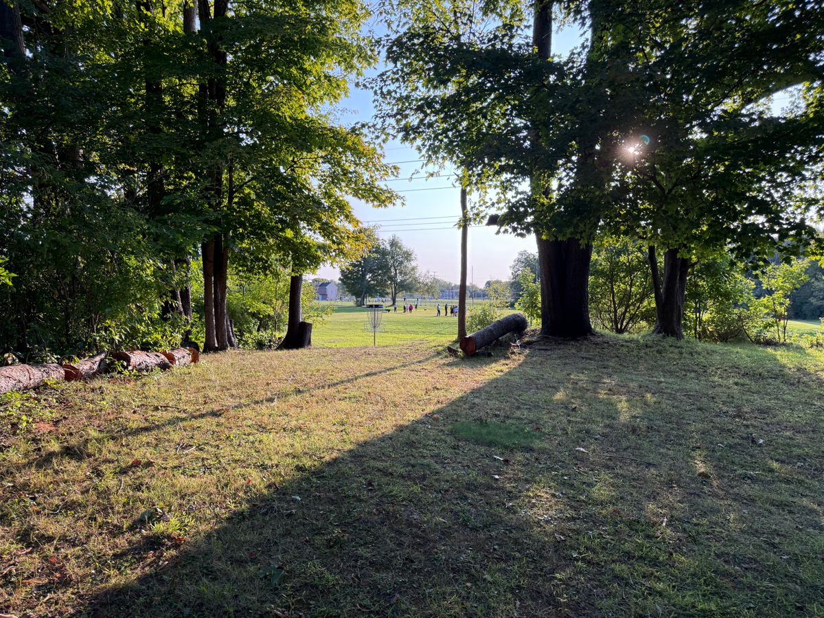 Hole 5 Green