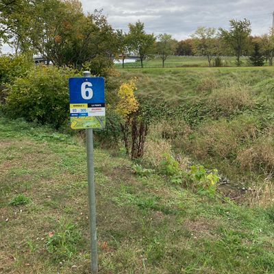 Départ #6, panier de l’autre côté du ruisseau au bout du terrain