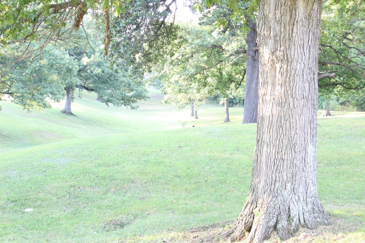 Hole 1 (Basket)