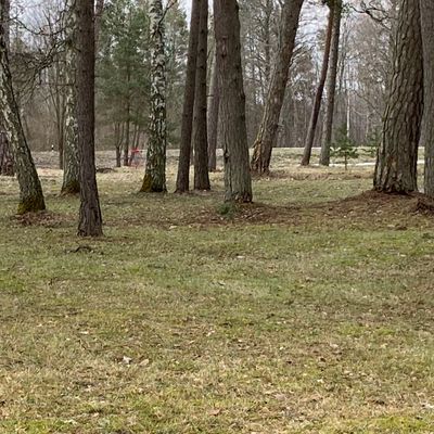 Hole 1
