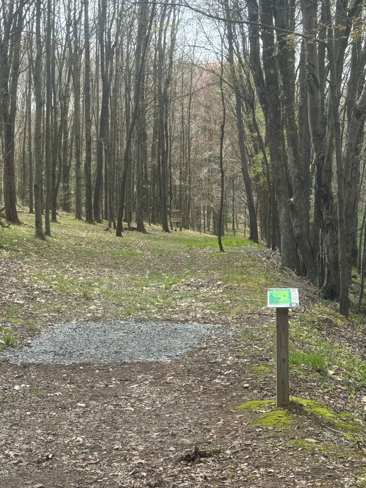 Hole 8 fairway and tee box