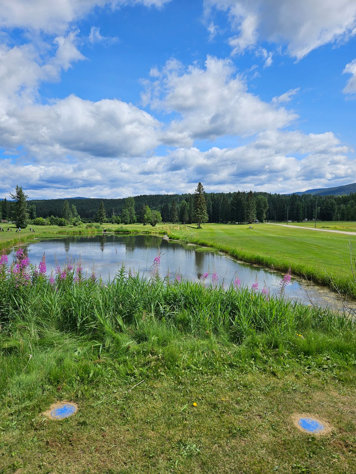 The "collector" pond.  Do not submit to it calling your disc's name.