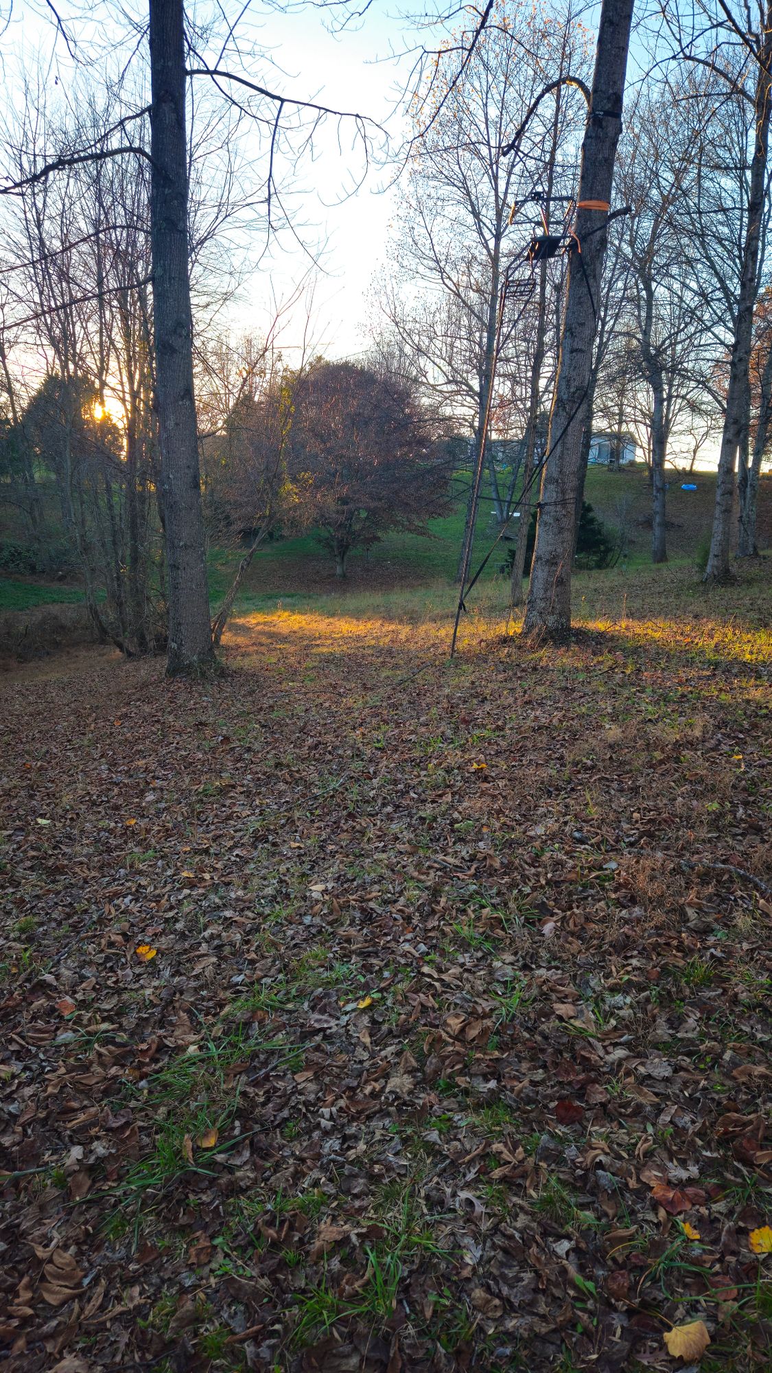 Hole 7