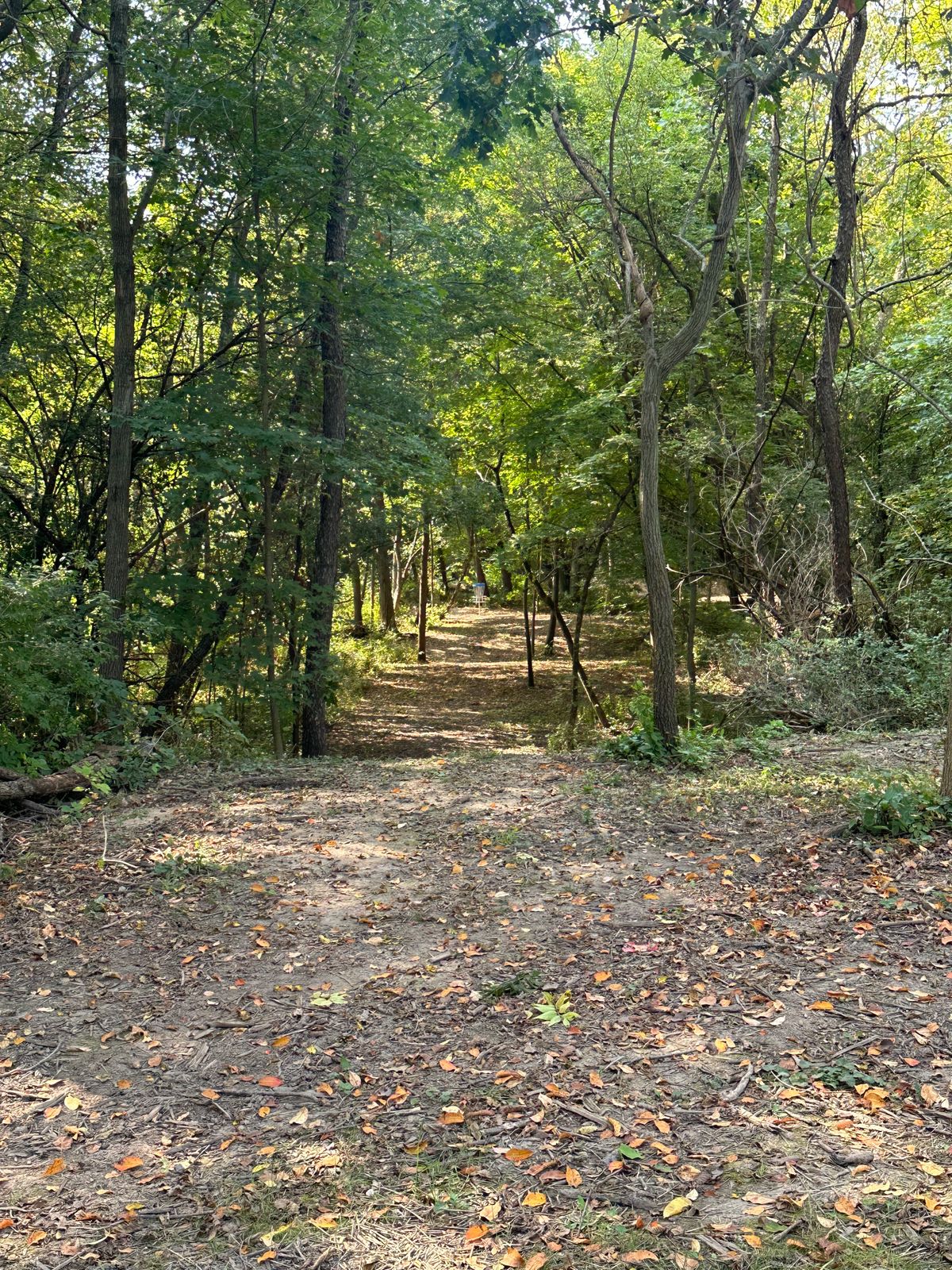 Hole 3