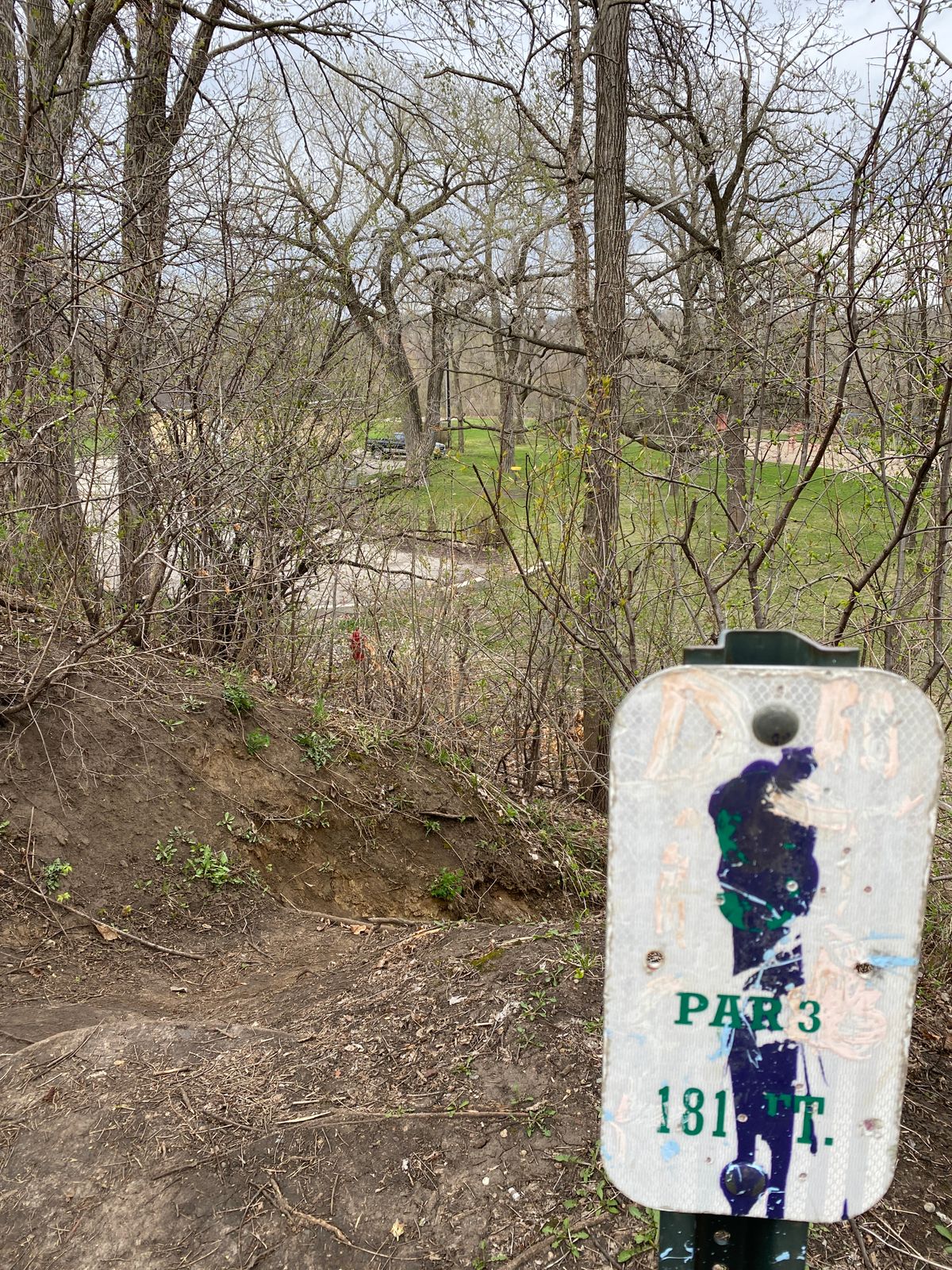 Tee box from the short #9. Lots of trees!