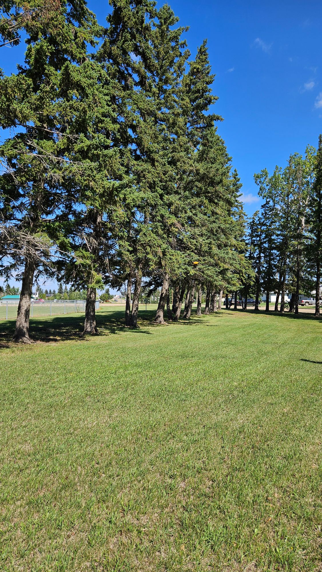 Hole 5 fairway
