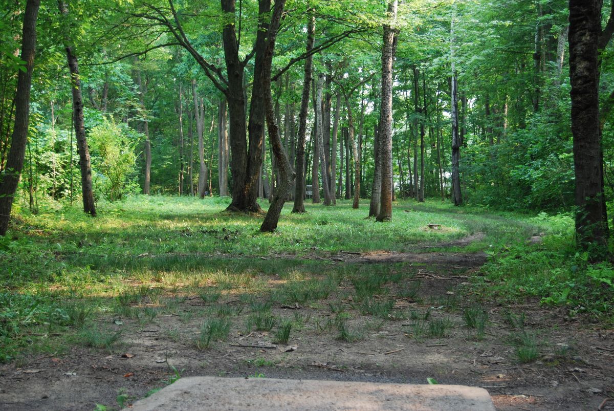 Hole 12 Short tee position
