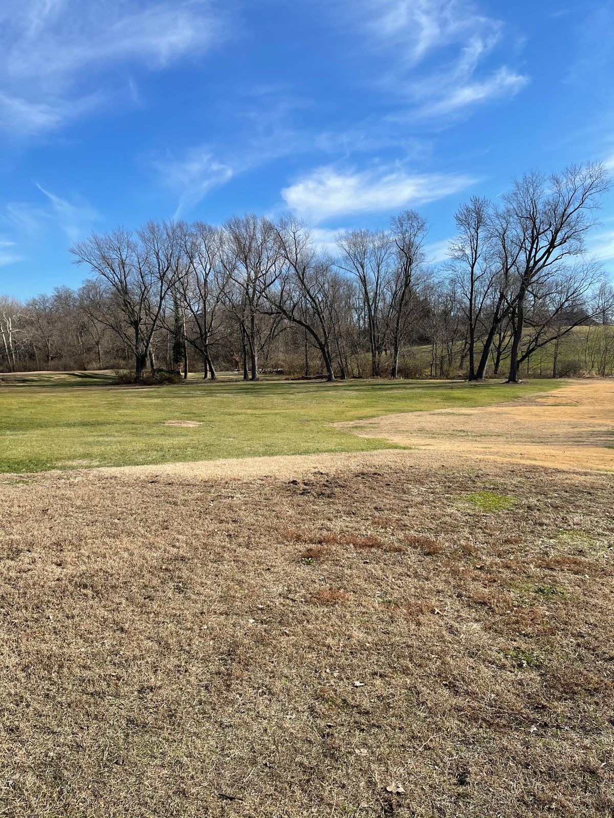 Hole 10s tee view. Basket is in the long position