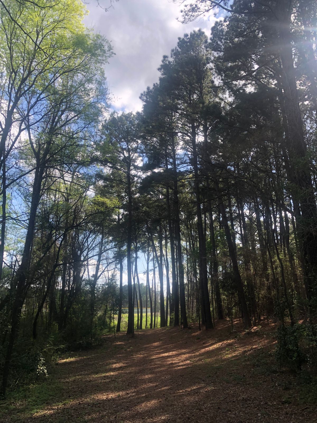 Hole 1