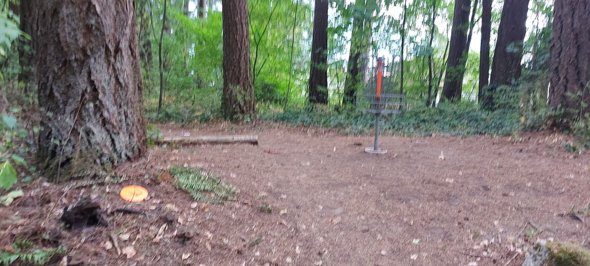 Putting on hole 4.🪵🍂🪵🌿