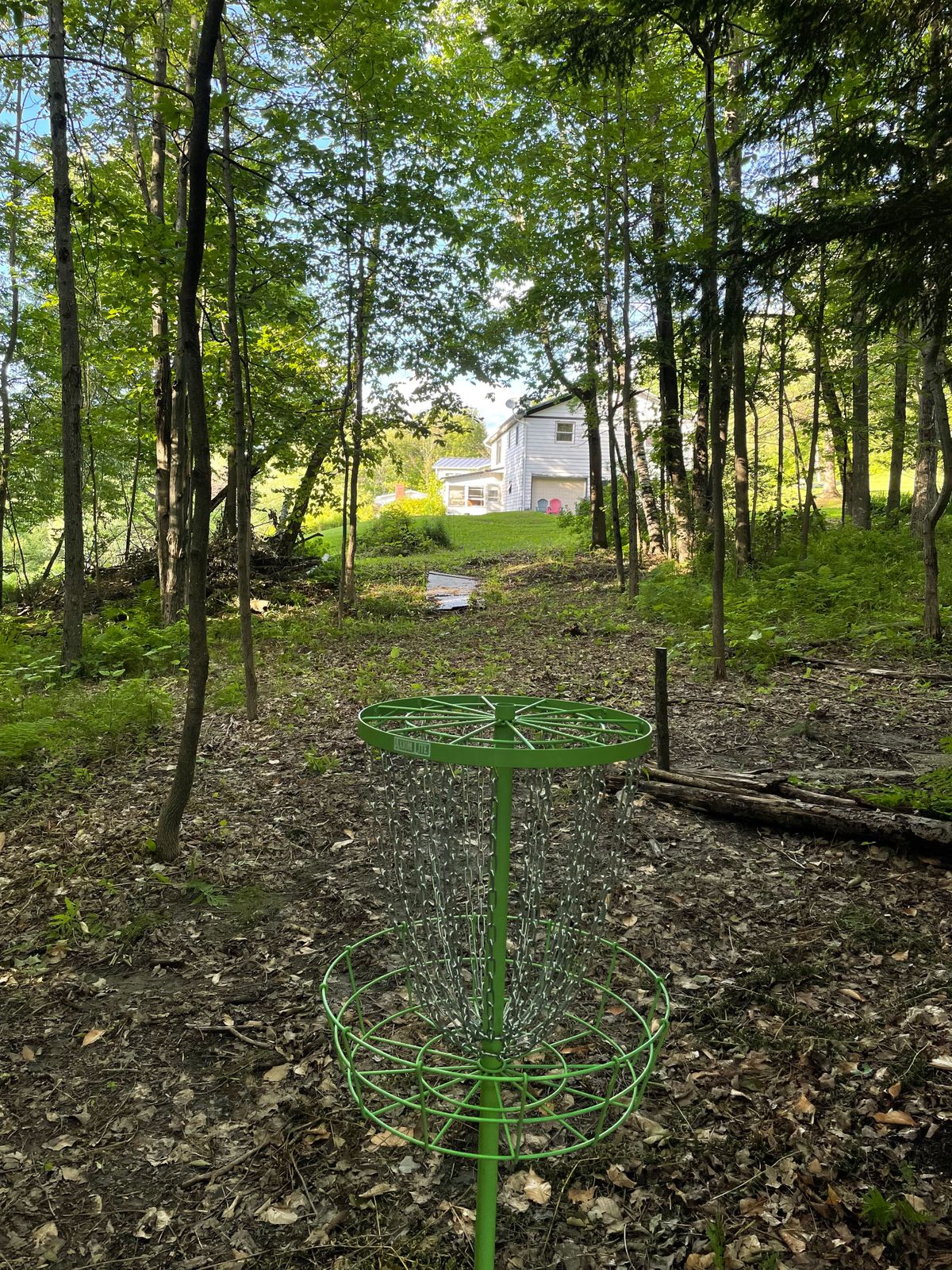 Hole 1 basket looking back at the tee (just in front of the porch extension)