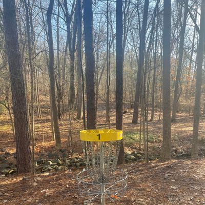 Hole 1 green
