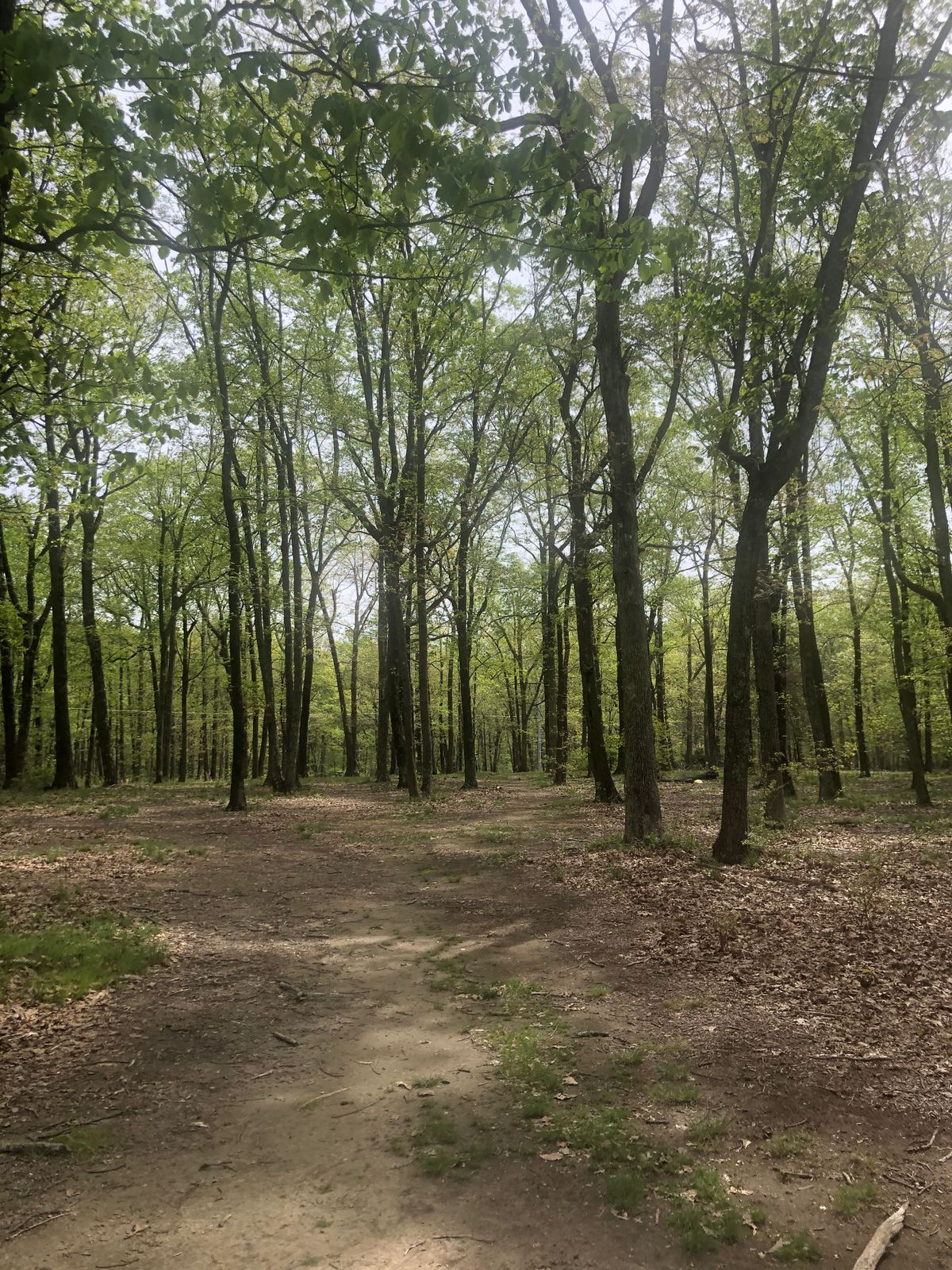 Hole 8